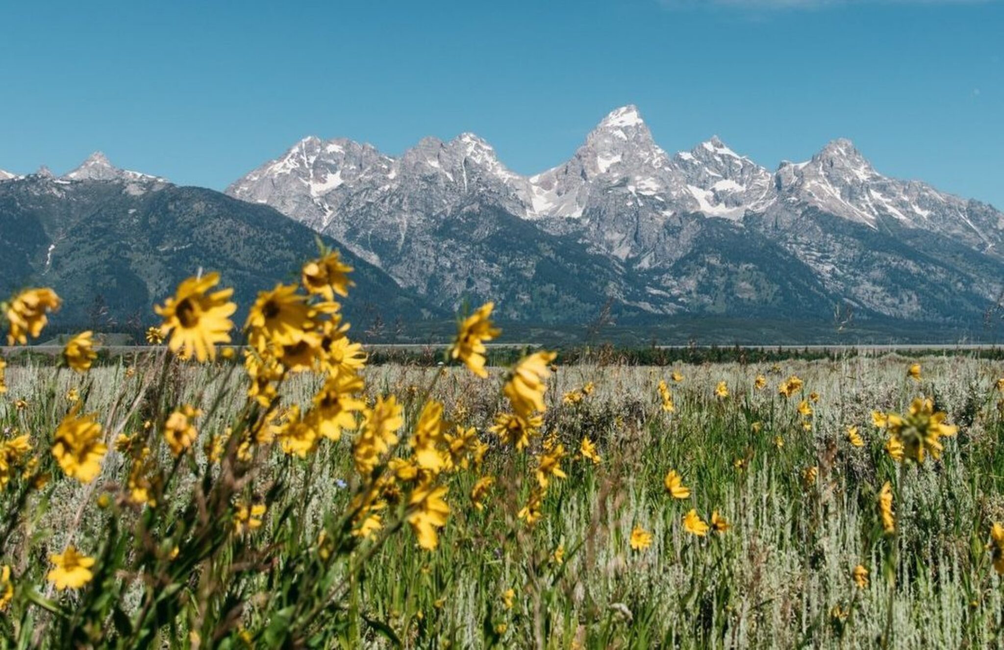 summer Jackson Hole WY