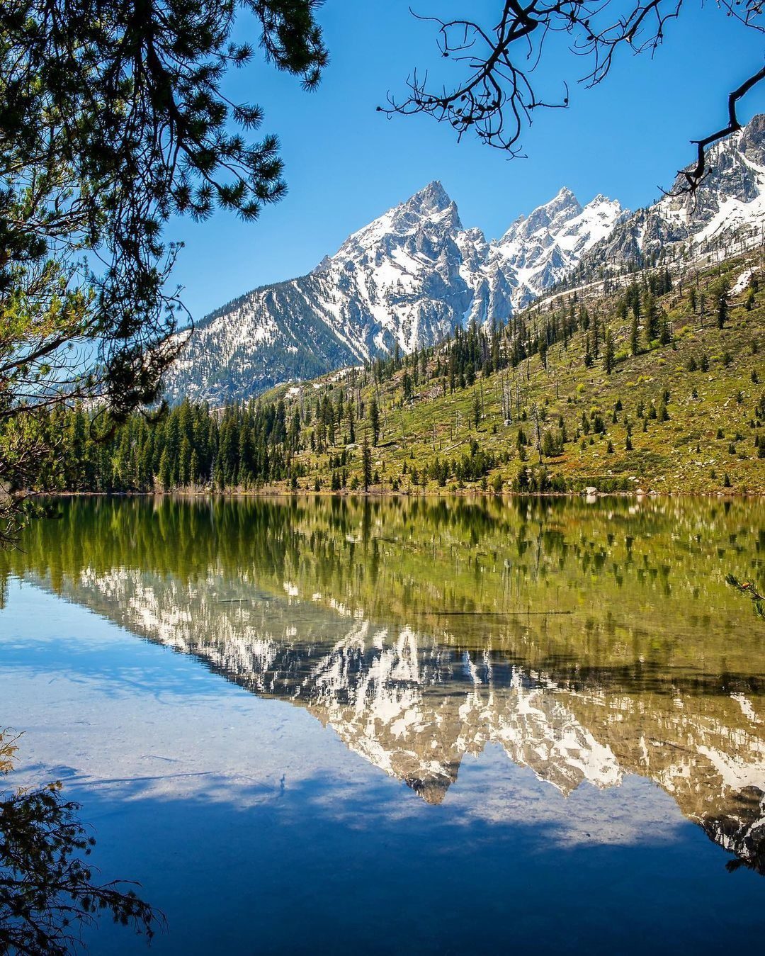 grand teton mountains near lake