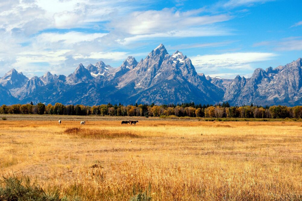 Fall in Jackson Hole