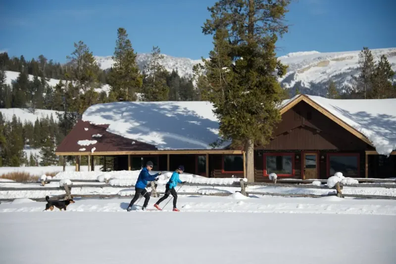 Two people nordic skiing with a black lab following them.