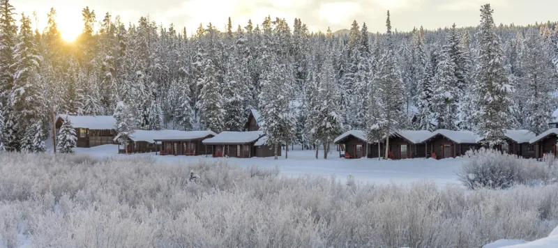 A row of cabins in a snow-dusted forest.